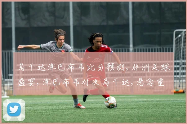 乌干达津巴布韦比分预测,非洲足球盛宴,津巴布韦对决乌干达,悬念重重